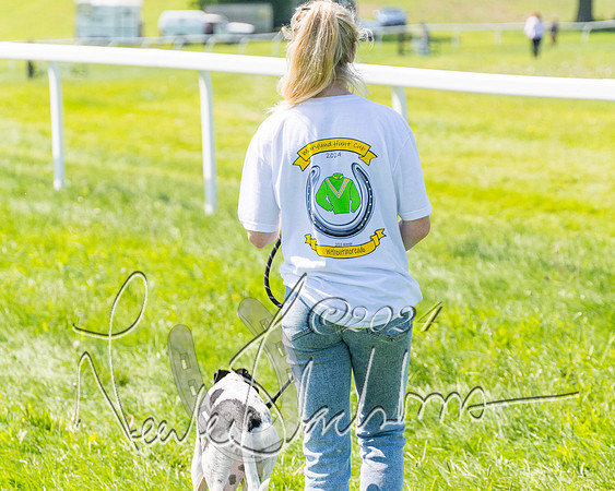 Pony Races  (33 of 141)