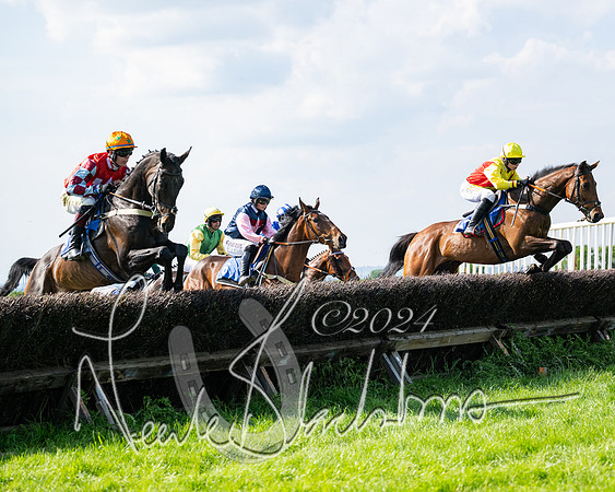 Race 5  - Maiden race 2m5F Div-1 (124 of 197)