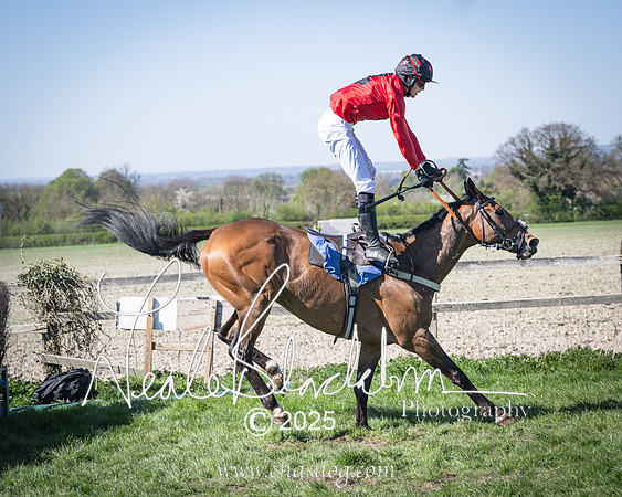 Race 4 - Mixed Open (139 of 168)