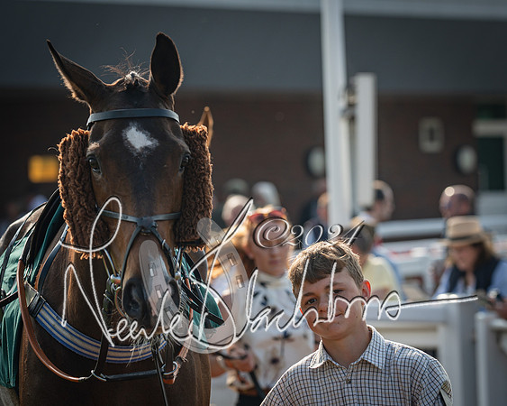Race 2 - The Venatour sports travel intermediate point to point hunters’ steeplechase 5 year olds and over 3m2f (8 of 163)