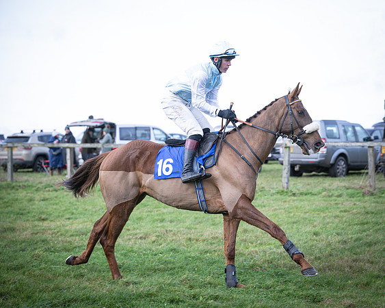 Race 2 - Maiden (14 of 145)