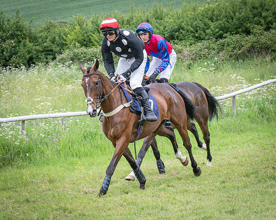 Race 2 - The Restricted race (11 of 84)