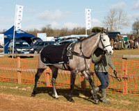 Race 1 - 4-5-6 Maiden (17 of 119).jpg