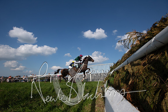 Race 6 - Owner trainer conditions (164 of 272)