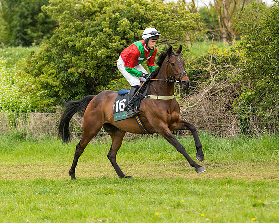 Race 7 - Open Maiden  (13 of 106)