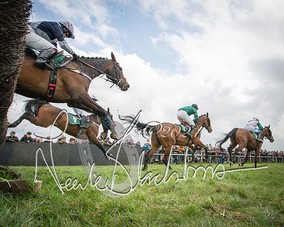 Race 1 - Hunt members subscribers and farmers race (74 of 119)