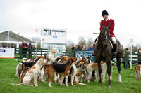 Pytchley - Hounds and friends 2