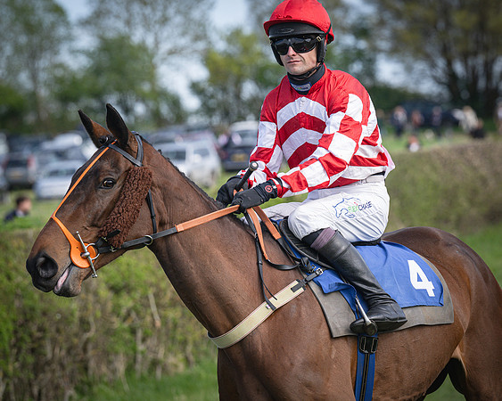 Race 5 - The 5G Restricted Race (6 of 56)
