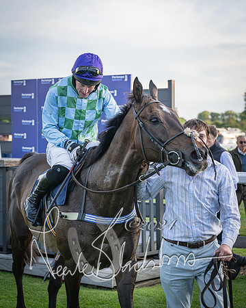 Race 5 - tipsterreviews.co.uk handicap (85 of 107)