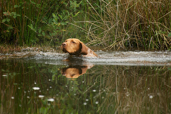 WCGB-04AUG-2013 Water Training Day 4