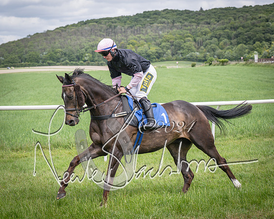 Race 1 - The owner-trainer Conditions race (30 of 118)
