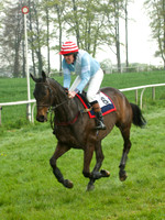 Old Berks at Lockinge PPORA novice and veteran riders race