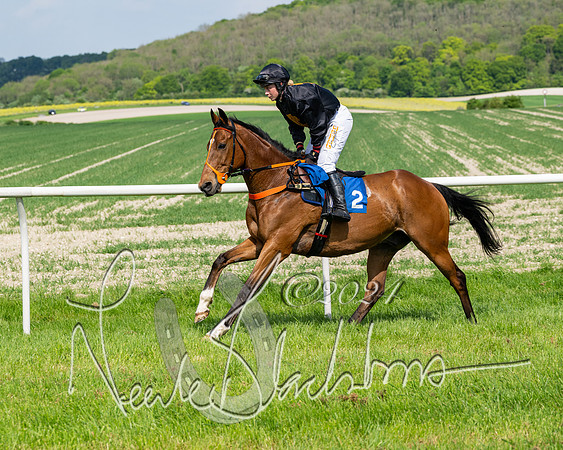 Race 3 - Ladies Open  (54 of 133)