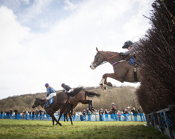 Race 3 - The Maiden Conditions (106 of 214)