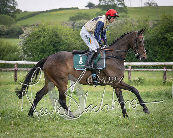 Race 1 - the Grafton adjacent hunts conditions race (level 2) (25 of 120)