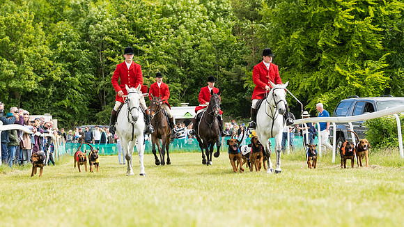 Hound Race  (7 of 49)