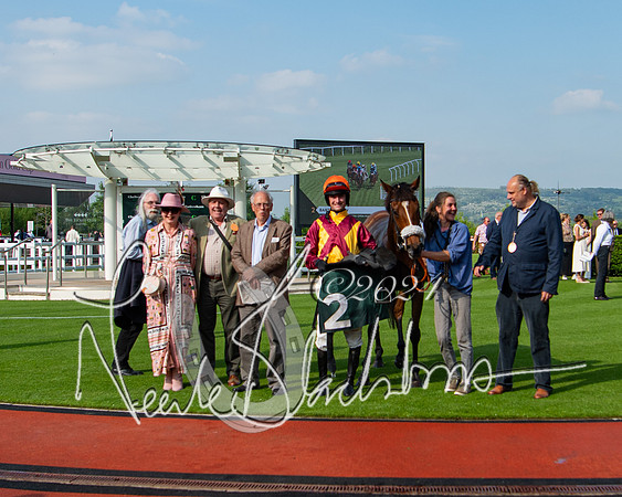 Race 1 - The Bottle Green Open Hunters steeplechase 2m62y (80 of 93)