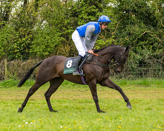 Race 7 - Open Maiden  (24 of 106)