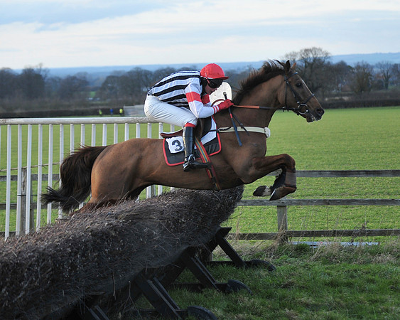 TVRC - Young Horse Maiden Division 2