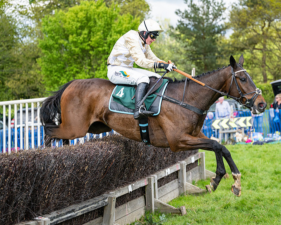 Race 5  - Maiden  (65 of 84)