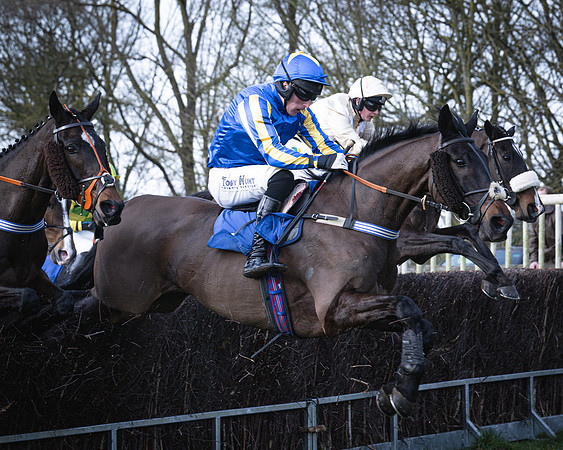Race 2 - Maiden (76 of 145)