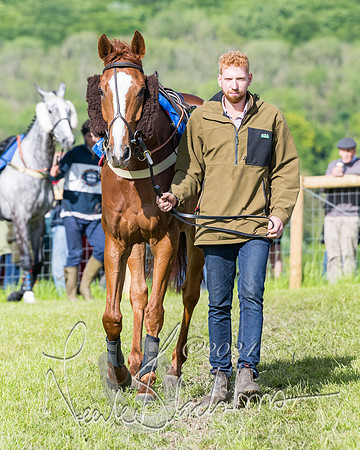 Race 6 - The Maiden  (21 of 448)