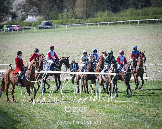 Race 4 - Mixed Open (56 of 168)