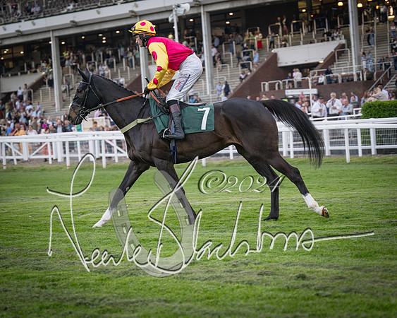 Race - 7 The Royal Gloucester Hussars Open Hunter's steeplechase 2m4f 127y (62 of 210)