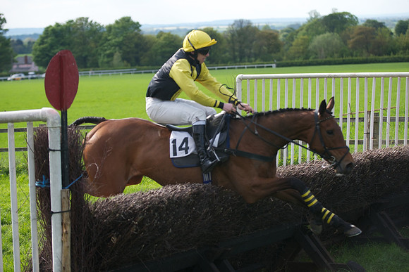Race 6 -  45