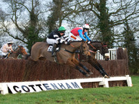 CHHC - Young Horse Maiden Division 2