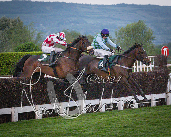 Race - 7 The Royal Gloucester Hussars Open Hunter's steeplechase 2m4f 127y (113 of 210)