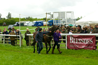 Race 5 - Restriced 10