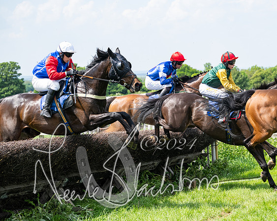 RAce 1 - Conditionsn [Level 2] (142 of 219)