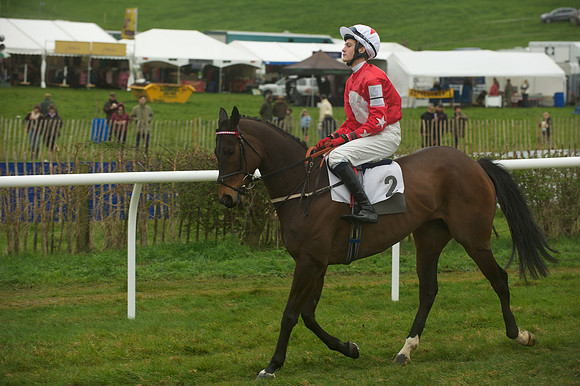 Race 8 - Pony Race 2 -  15