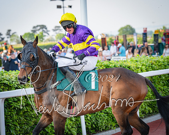 Race 3 - The Junior Jumpers open hunter's steeple chase 3m1f56y (30 of 156)