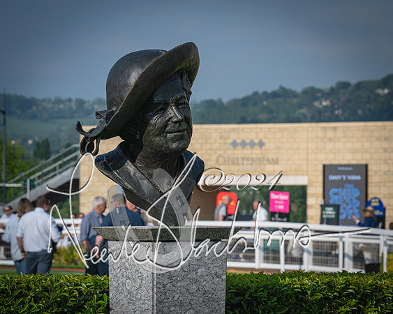 Race 3 - The Junior Jumpers open hunter's steeple chase 3m1f56y (5 of 156)