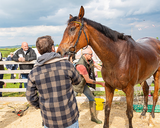 Race 5  - Novice riders (178 of 188)