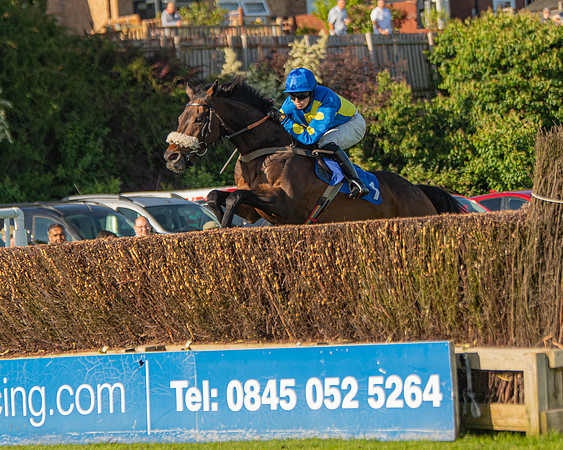 Race 2 - Nimrod Ladies Open (26 of 82)