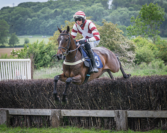 Race 6 - 2M4F Maiden (19 of 85)