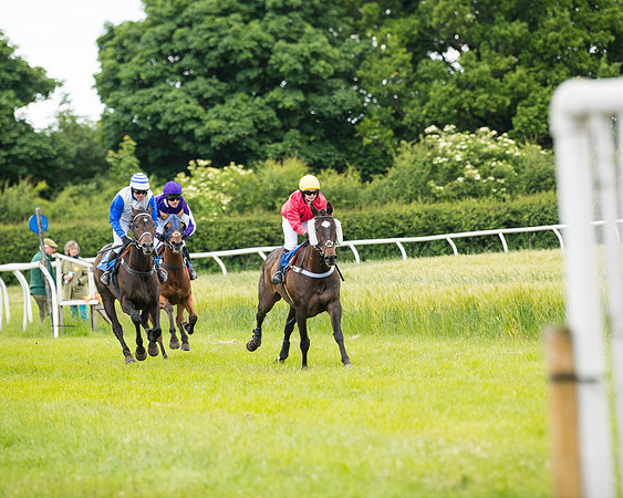 Race 5 - Restricted  (65 of 136)