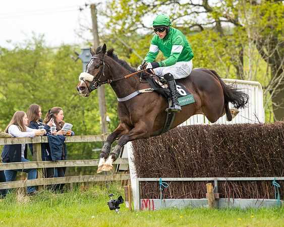 Race 7 - Open Maiden  (35 of 106)