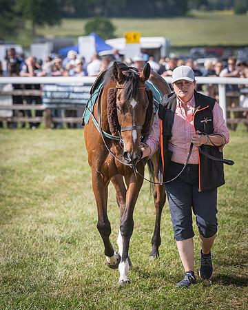 Race 5 - Restricted (17 of 116)