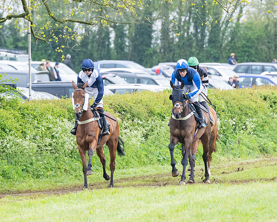 Race 7 -  Maiden Conditions (5 of 135)