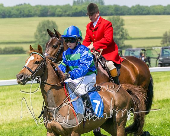 Pony Races  (2 of 141)