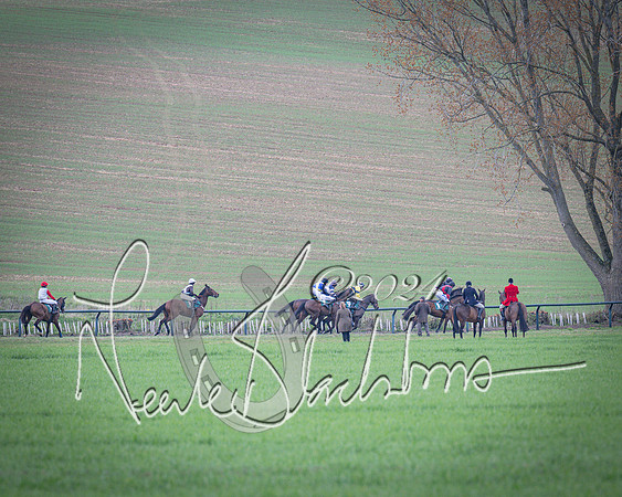 Race 3 - 5 years old and Over Maiden Race (31 of 130)