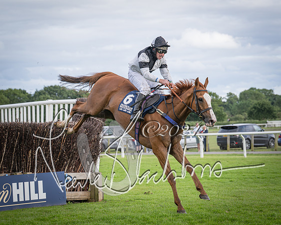 Race 1 - Pointing Pointers Restricted Final (65 of 79)