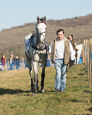 Race 2 Open Maiden (16 of 170).jpg