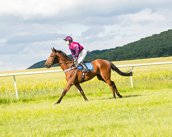 Race 6 - Open Maiden (37 of 227)