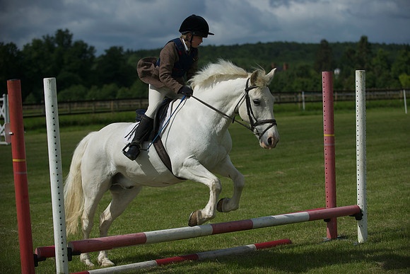 SOHS PC Summer Show at BCA 17th June 2012