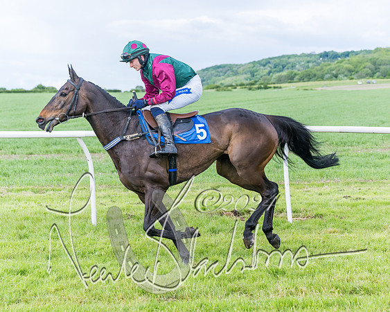 Race 5 - Restricted Race (116 of 434)